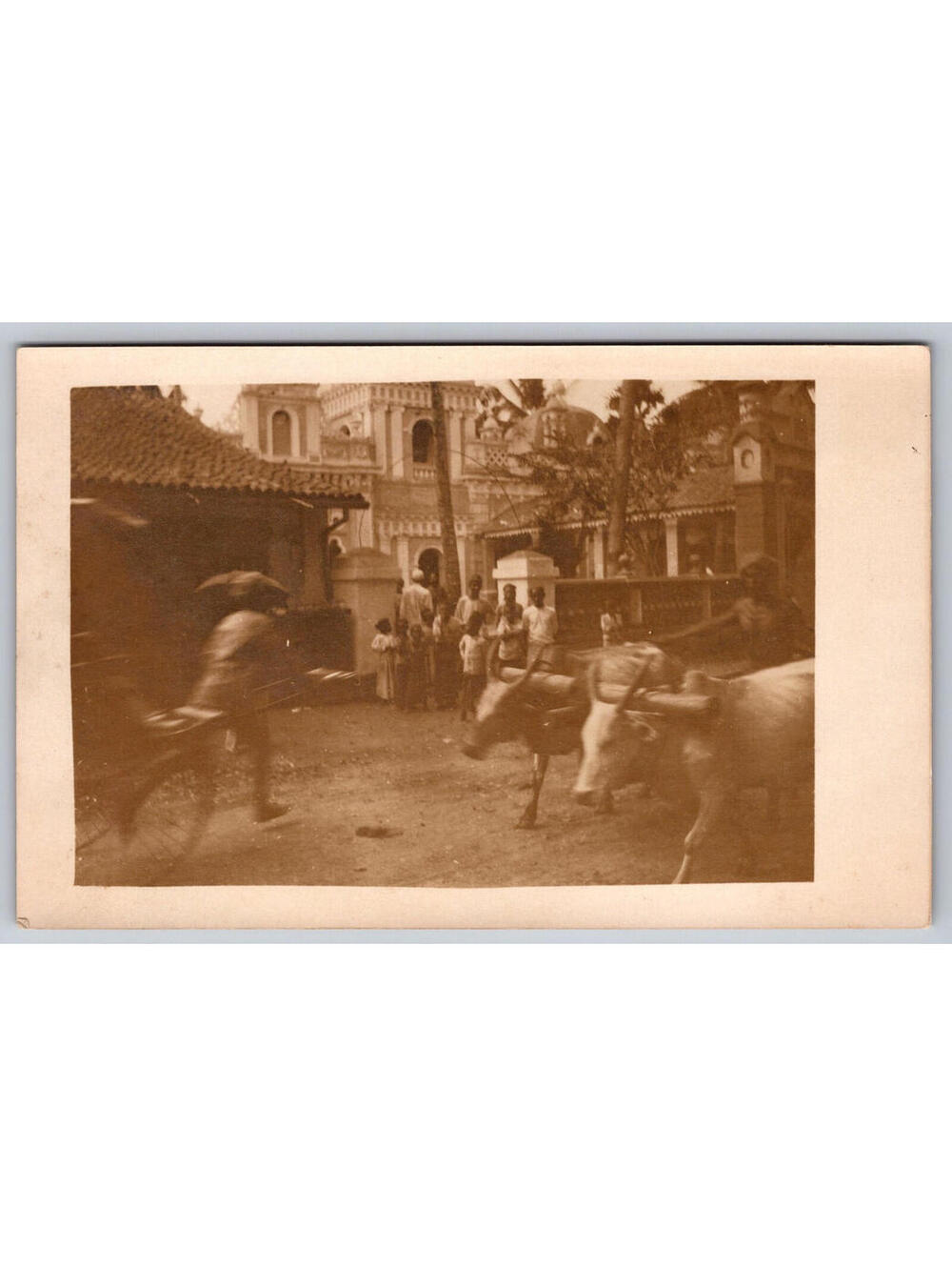 Family In Front Of Home Nice Home India With Oxen RPPC Postcard ?? Vintage Card